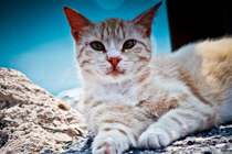 ddos压力测试平台